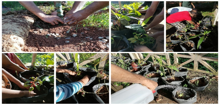 ക്രിയാത്മകത  സൃഷ്ടിപരതയിലേക്ക് ഞങ്ങളുടെ മാനസികവിഭാഗത്തിലെ വ്യക്തികളിലൂടെ രൂപപെട്ടപ്പോൾ ......